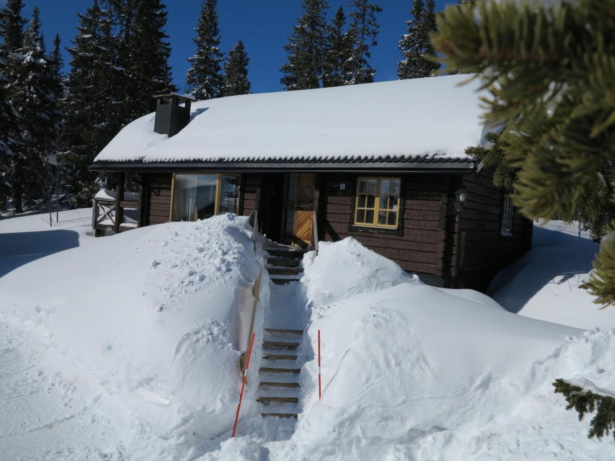 Chalet Korpstigen Aelgen - Dan075 By Interhome Сален Экстерьер фото